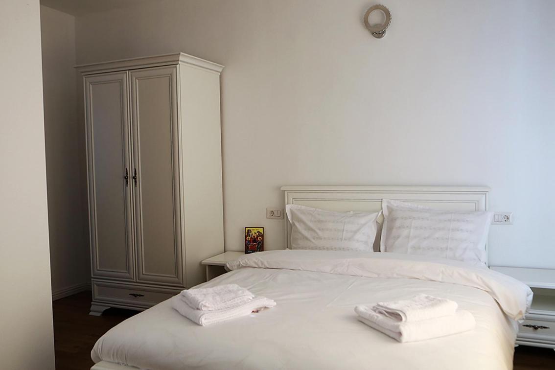 Hotel Casa Carmen Poienile Izei Zewnętrze zdjęcie