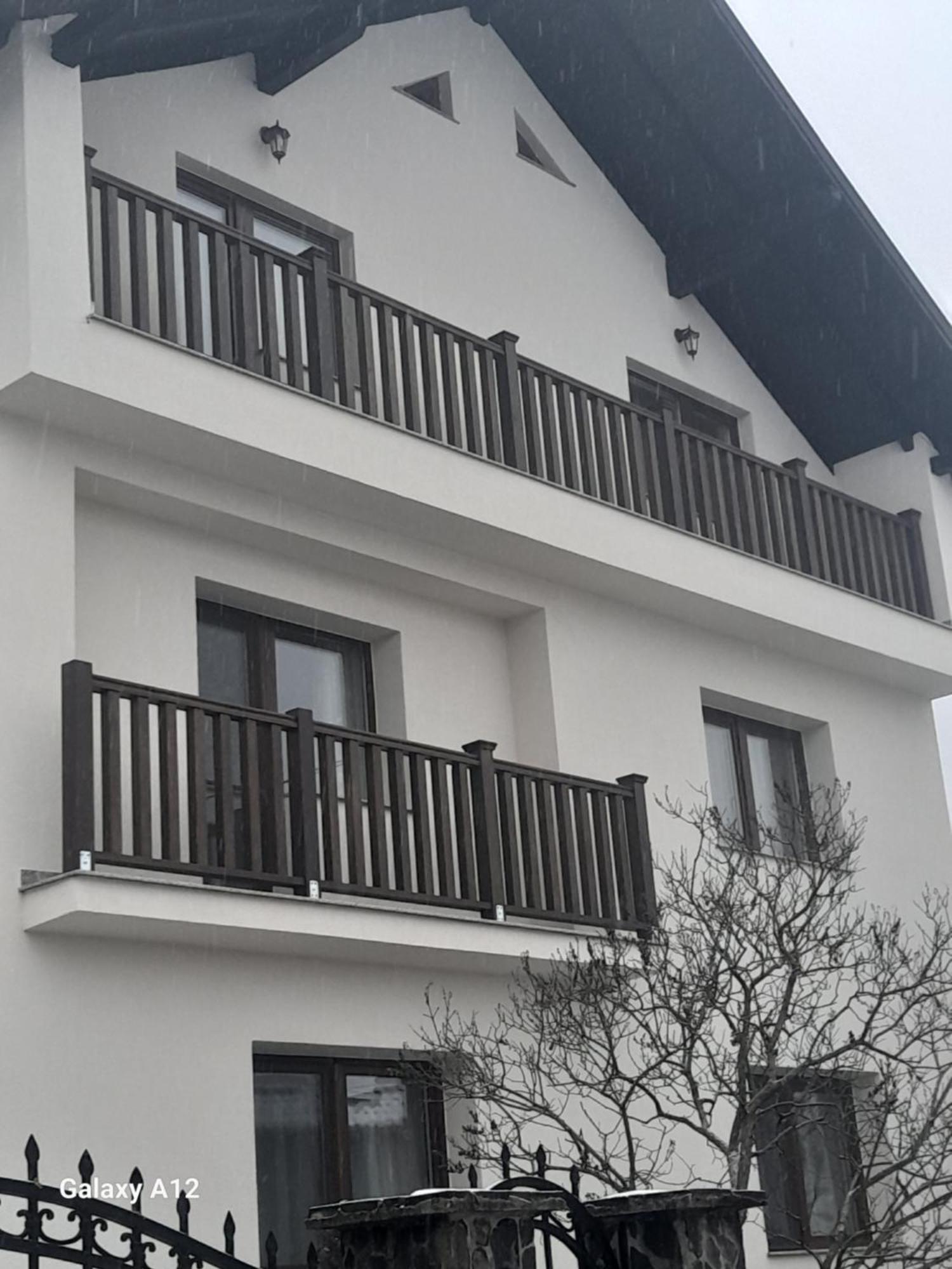 Hotel Casa Carmen Poienile Izei Zewnętrze zdjęcie